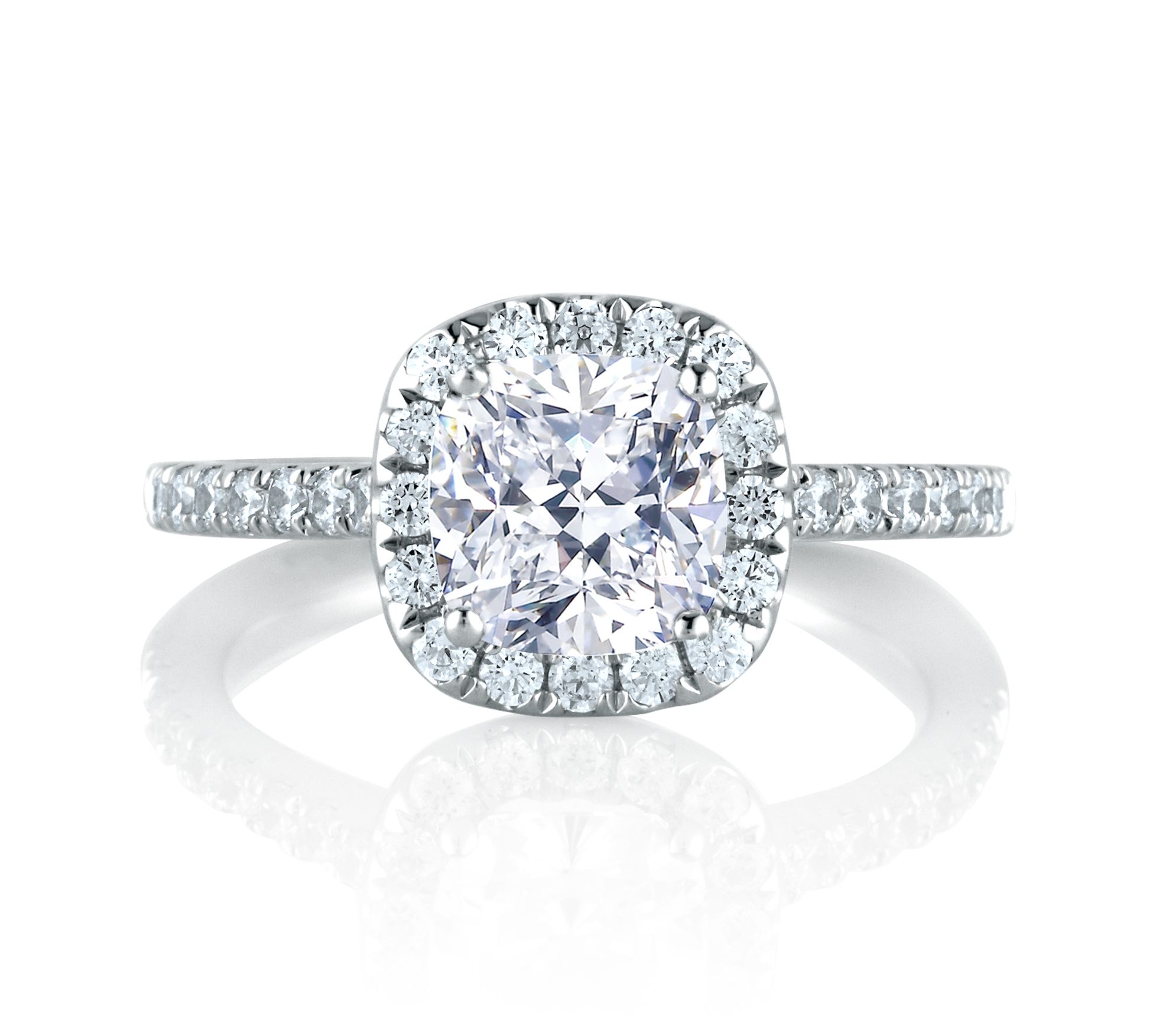 Cathedral Open Bridge Halo Cushion Engagement Ring